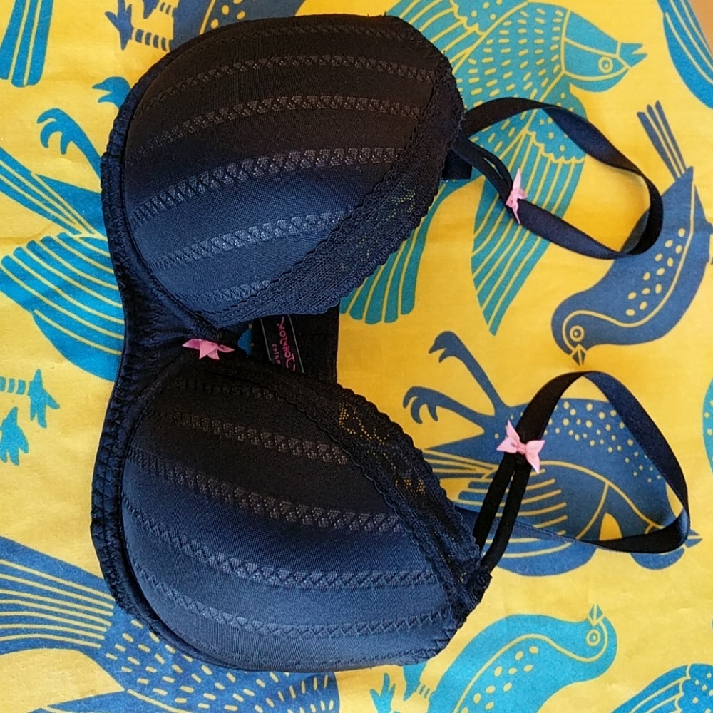 Betsey Johnson Zipper Stripe Bra EUC!
